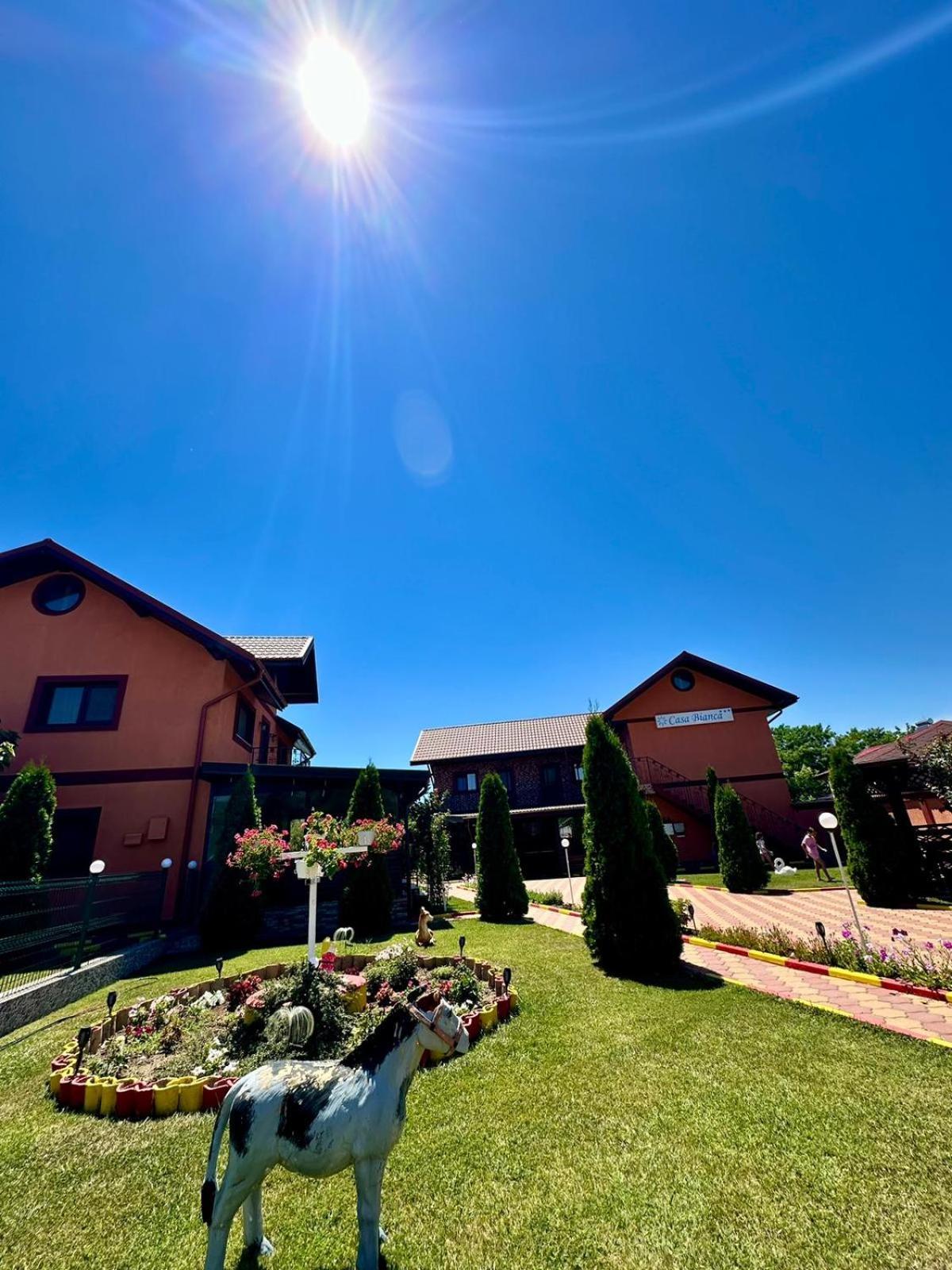 Hotel Pensiunea Bianca Corbu  Exterior foto
