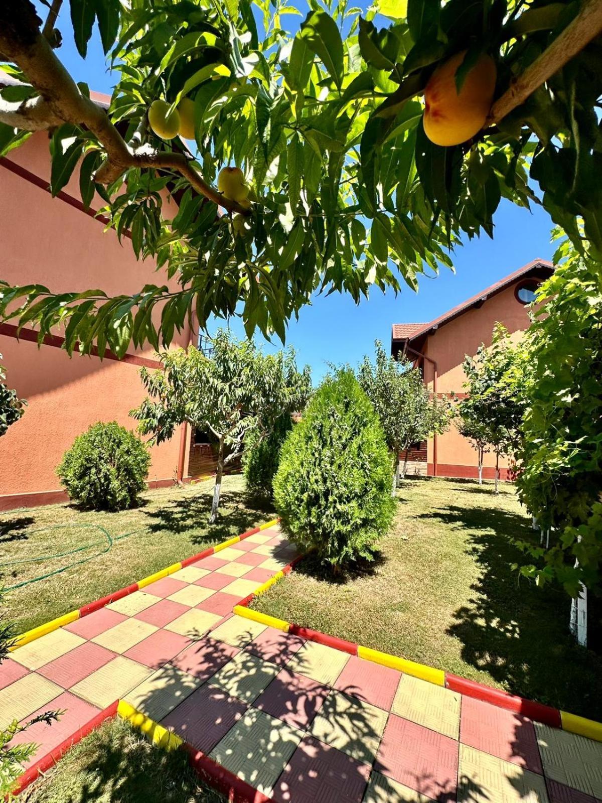 Hotel Pensiunea Bianca Corbu  Exterior foto